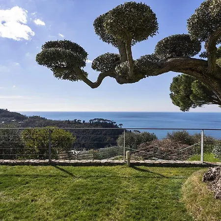 L'ulivo Sull'orizzonte Con Piscina By Wonderful Italy Villa